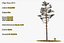 Pine Tree Pack vol.02