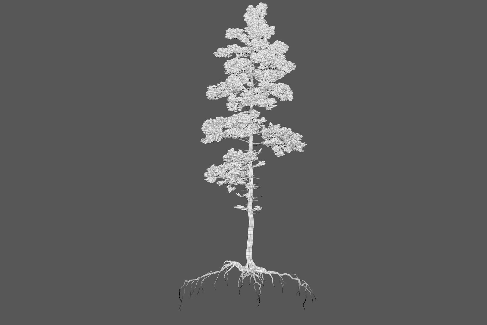 pine tree pack vol 3D https://p.turbosquid.com/ts-thumb/Yc/I4Suxm/hzlFxRwm/wire_1/png/1548587687/1920x1080/fit_q87/373686dc491a26526c3ba4b462525b726f18ee84/wire_1.jpg