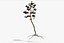 Pine Tree Pack vol.02