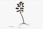 Pine Tree Pack vol.02