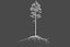 Pine Tree Pack vol.02