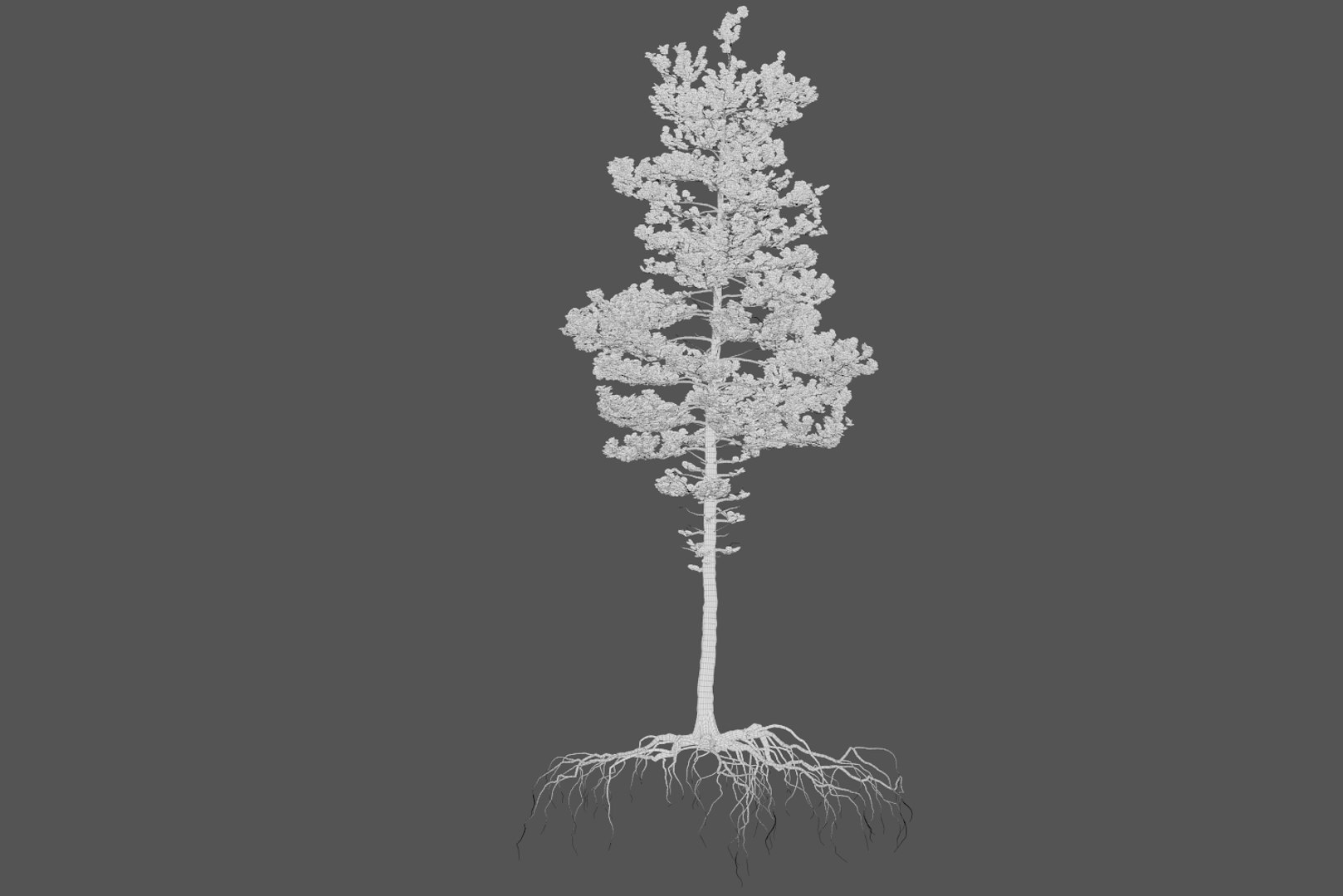 pine tree pack vol 3D https://p.turbosquid.com/ts-thumb/Yc/I4Suxm/wemYJmH6/wire_2/png/1548588255/1920x1080/fit_q87/affe04b75fd24466cb8d7dd9a4cfe609631182c0/wire_2.jpg