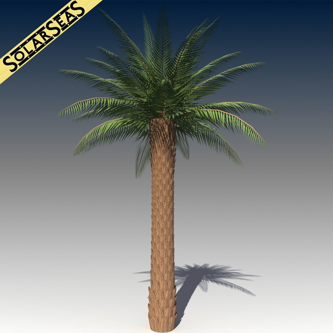 3dsmax Realistic Palm Tree
