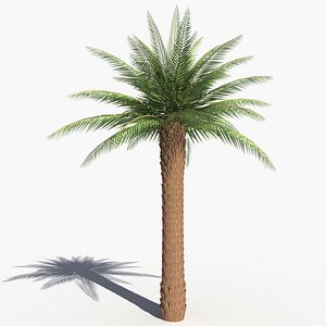 3dsmax realistic palm tree