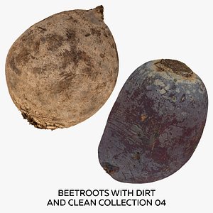 Beetroots With Dirt and Clean Collection 04 - 2 models RAW Scans 3D model