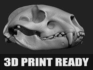 Articulated Badger skull 3D print ready !