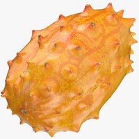 Horned Melon 03