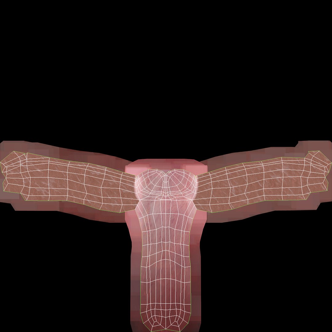 male reproductive max https://p.turbosquid.com/ts-thumb/Yd/DjsBM0/CJ5B33FW/012/jpg/1371160237/1920x1080/fit_q87/958ae35c8dfb5282f4e9a42ba13b8f72971edc8b/012.jpg