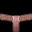 Male Reproductive System