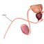 Male Reproductive System