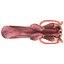 Male Reproductive System