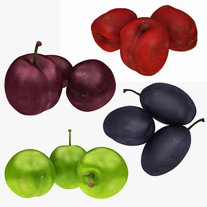 3D plum model