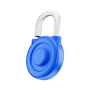 Lock Open Icon