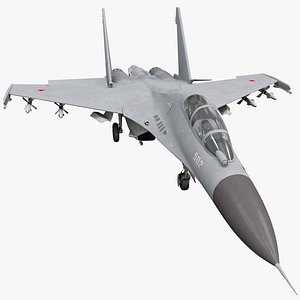 Russian Fighter Aircraft Sukhoi Su-30 2