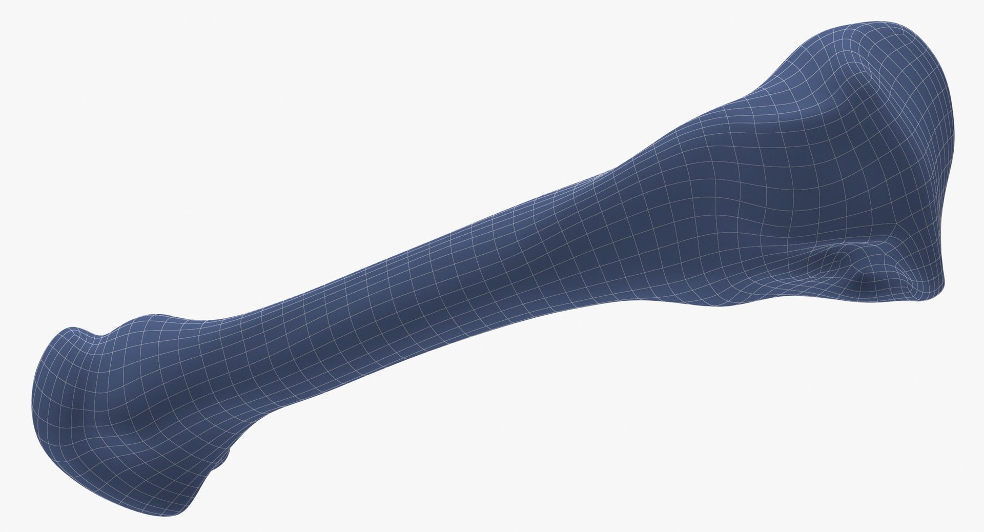3D fourth metatarsal bone 01 model https://p.turbosquid.com/ts-thumb/Yd/LCISW3/GZt9ZRvR/fourth_metatarsal_bone_01_wireframe_0007/jpg/1580378349/1920x1080/fit_q87/7eea75badecb5220b228a3d81f84b9aa73c053cd/fourth_metatarsal_bone_01_wireframe_0007.jpg