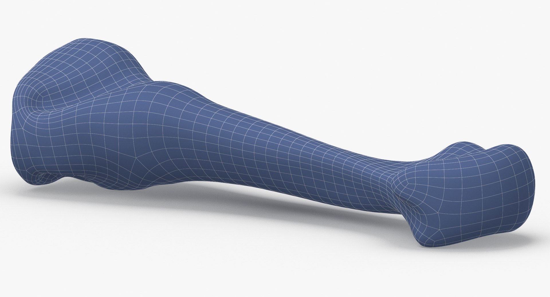 3D fourth metatarsal bone 01 model https://p.turbosquid.com/ts-thumb/Yd/LCISW3/xfJNeLNv/fourth_metatarsal_bone_01_wireframe_0004/jpg/1580378349/1920x1080/fit_q87/c4ad154b311e317006c9a3e554c9aa2fa3d58caf/fourth_metatarsal_bone_01_wireframe_0004.jpg
