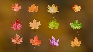 3D model Autumn Leaves 3D Pack