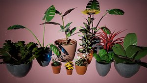 Pot Plant  11 Assets 3D