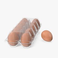 Pack of 10 Brown Eggs in Transparent Container