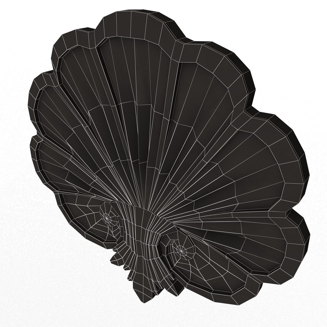 3D Shell Carved 05 https://p.turbosquid.com/ts-thumb/Yd/upV2xP/8h/wireframelowshellcarved053/jpg/1659437390/1920x1080/fit_q87/e4aa48685a74ebc2b90a63ecf8bac6f136970867/wireframelowshellcarved053.jpg