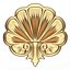 Shell Carved 05