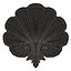 Shell Carved 05