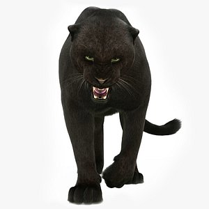 3D black panther rigged fur