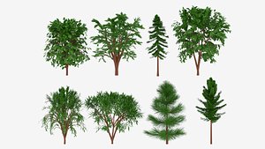 Tree Collection 3D model