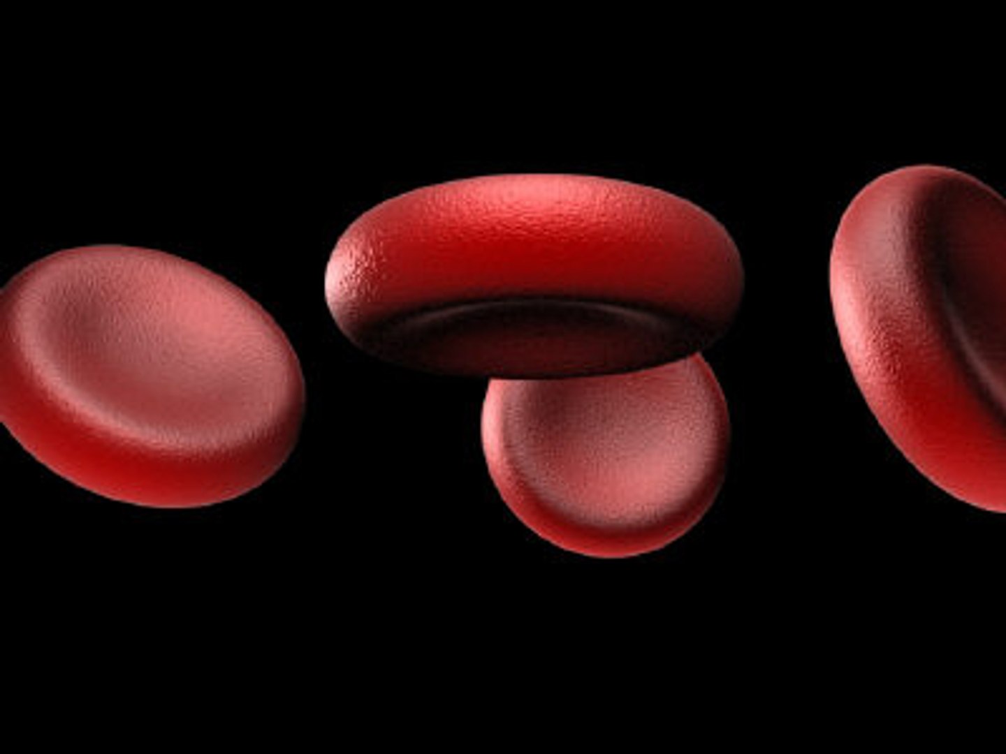 Big Science Bacteria Blood Cells Max