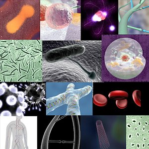 Big Science Collection