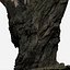 tree charred trunk willow 3d obj