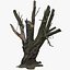 tree charred trunk willow 3d obj