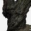 tree charred trunk willow 3d obj