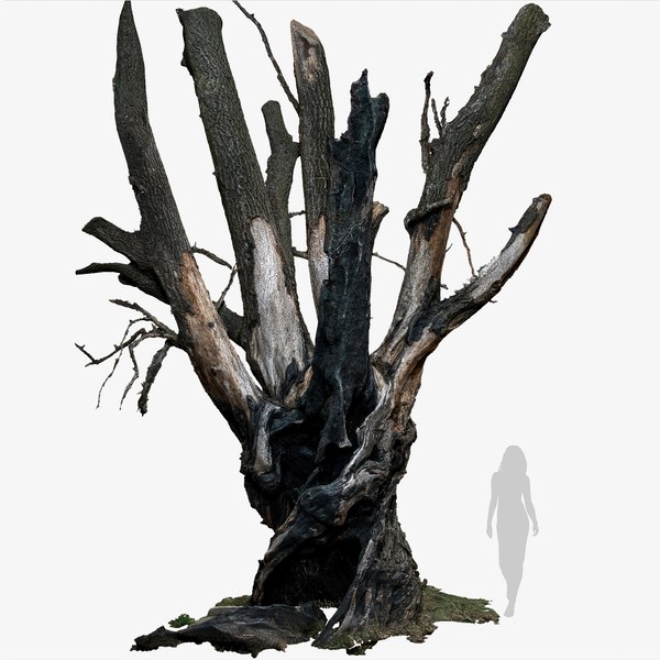 burnttreetrunk16ktexturecharredwillowraw3dscanbuysale3dmodelpurchase_.jpg