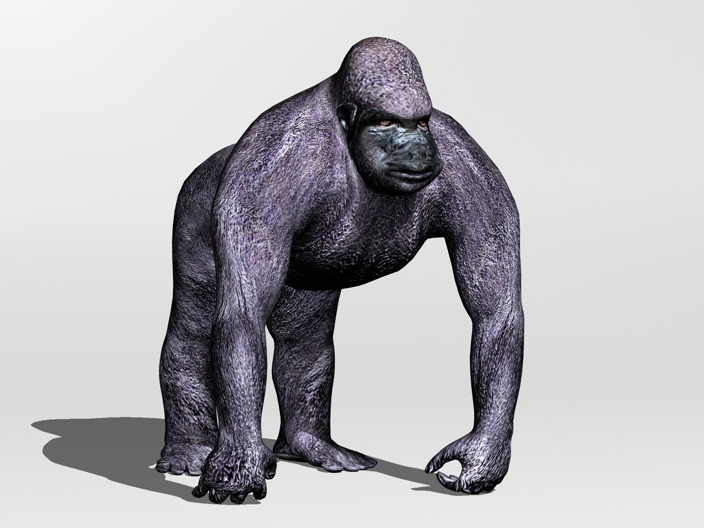 3d primate gorilla