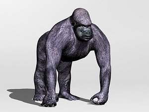 3d primate gorilla