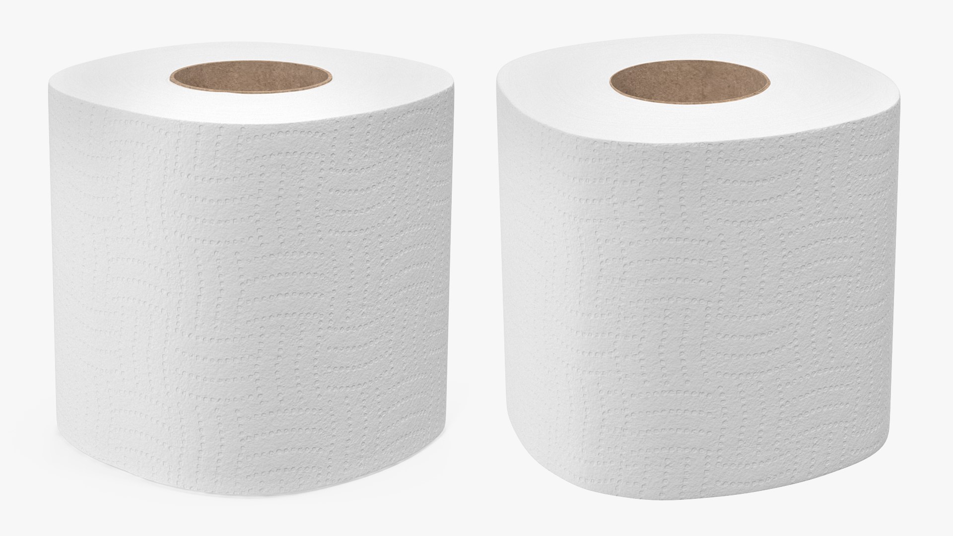 Toilet Paper Roll 3D model preview