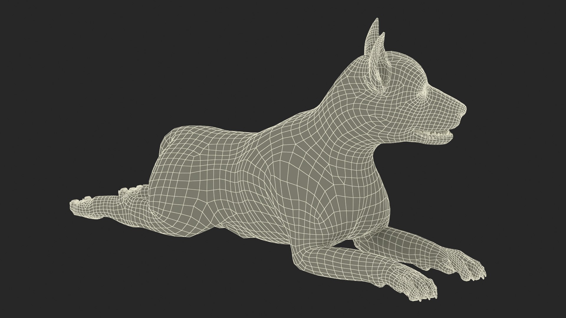 Mongrel Dog Cream Lying Down Pose Fur for Maya 3D model https://p.turbosquid.com/ts-thumb/Yf/0LNDTx/3j/mongrel_dog_cream_lying_down_pose_fur_017/jpg/1750631044/1920x1080/fit_q87/2ba5bc8bc6df1c1b9e000356297ccf4c55c77828/mongrel_dog_cream_lying_down_pose_fur_017.jpg