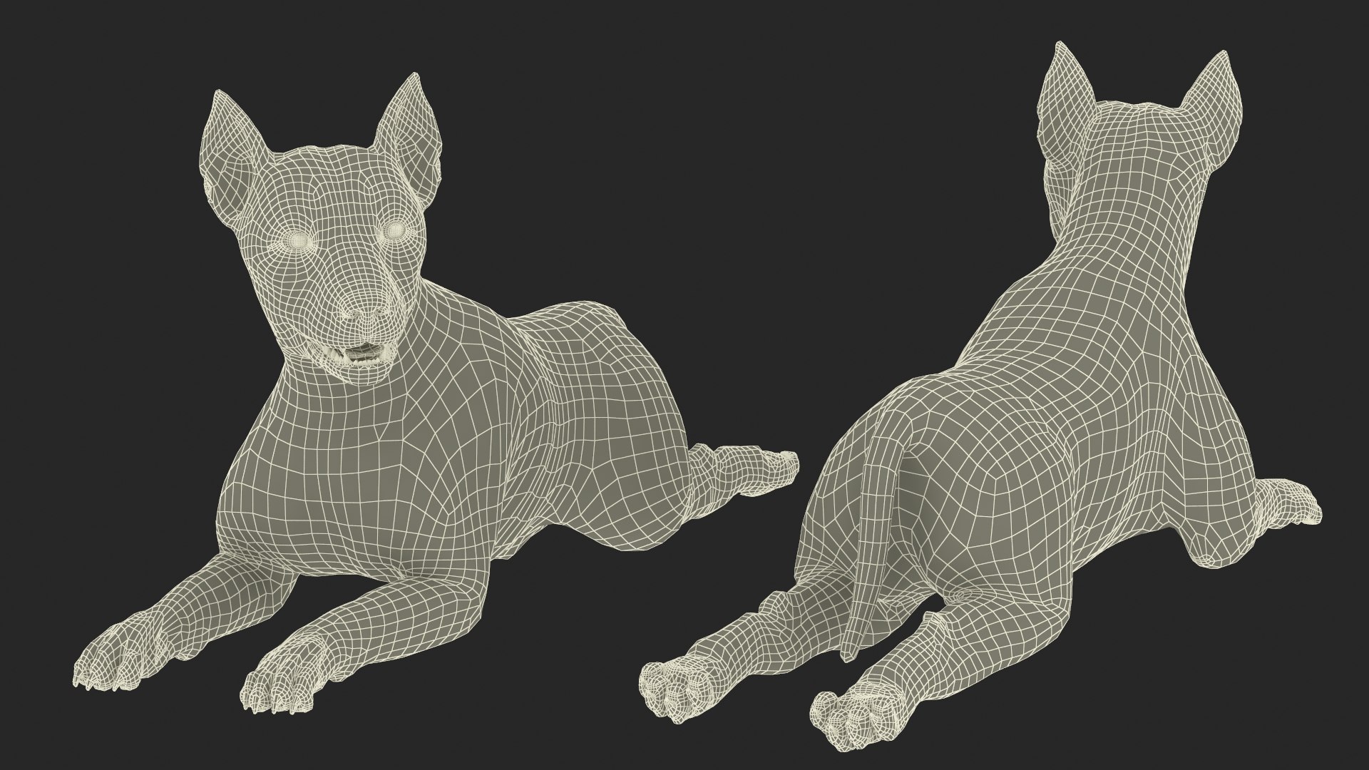 Mongrel Dog Cream Lying Down Pose Fur for Maya 3D model https://p.turbosquid.com/ts-thumb/Yf/0LNDTx/84/mongrel_dog_cream_lying_down_pose_fur_016/jpg/1750631041/1920x1080/fit_q87/0f404016ff53e91a40945d6e1e6ae19e957875ac/mongrel_dog_cream_lying_down_pose_fur_016.jpg