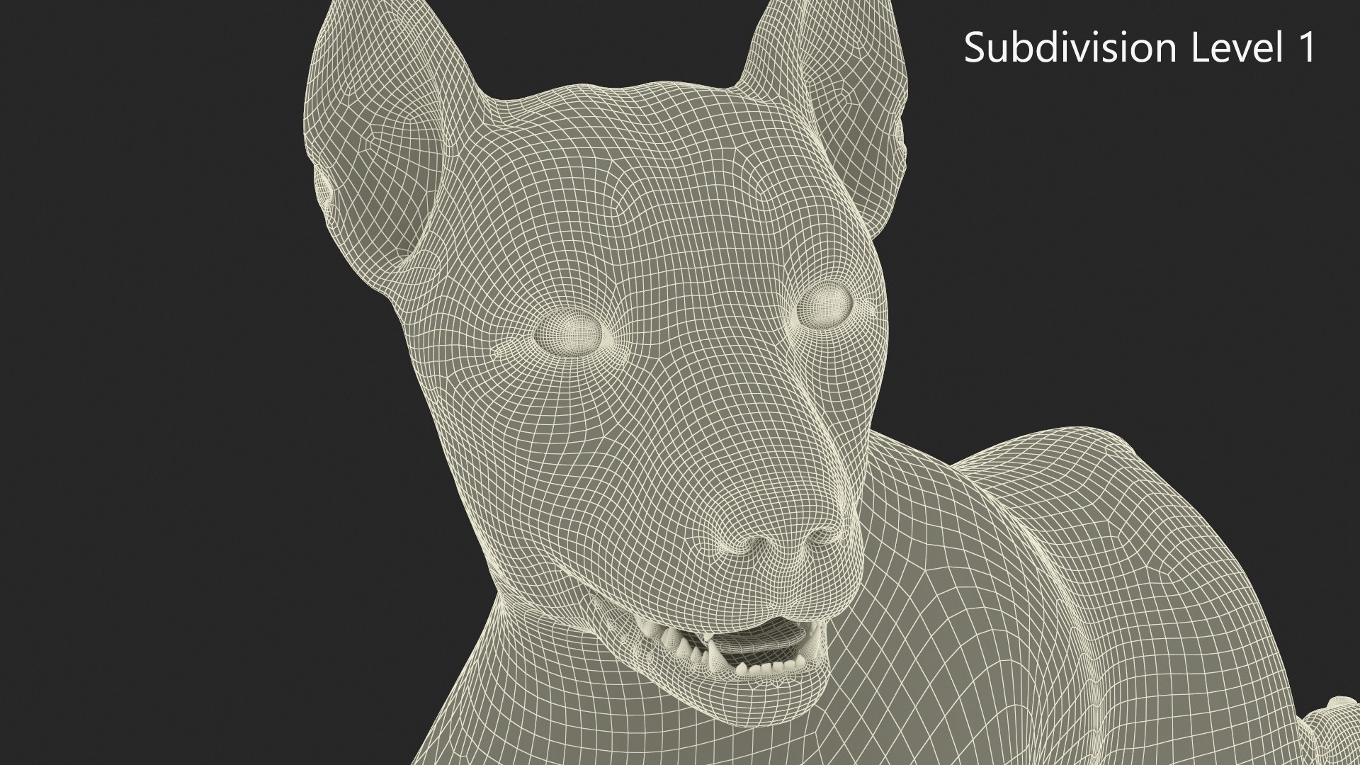 Mongrel Dog Cream Lying Down Pose Fur for Maya 3D model https://p.turbosquid.com/ts-thumb/Yf/0LNDTx/py/mongrel_dog_cream_lying_down_pose_fur_012/jpg/1750631029/1920x1080/fit_q87/f4b7bec0a63d54f96f92aed7fcf666c6e4580f67/mongrel_dog_cream_lying_down_pose_fur_012.jpg