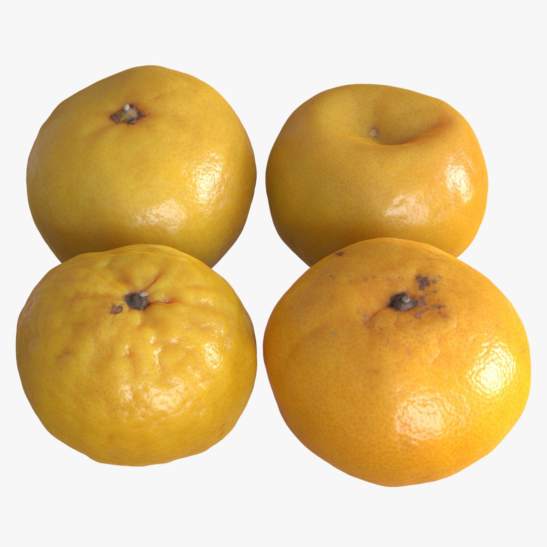 Satsumas 3D model TurboSquid 1863810