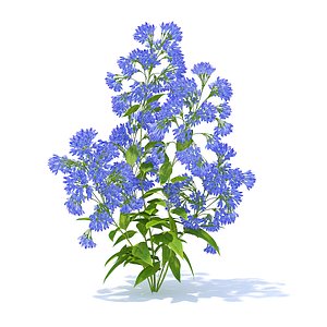 bellflower 3D model