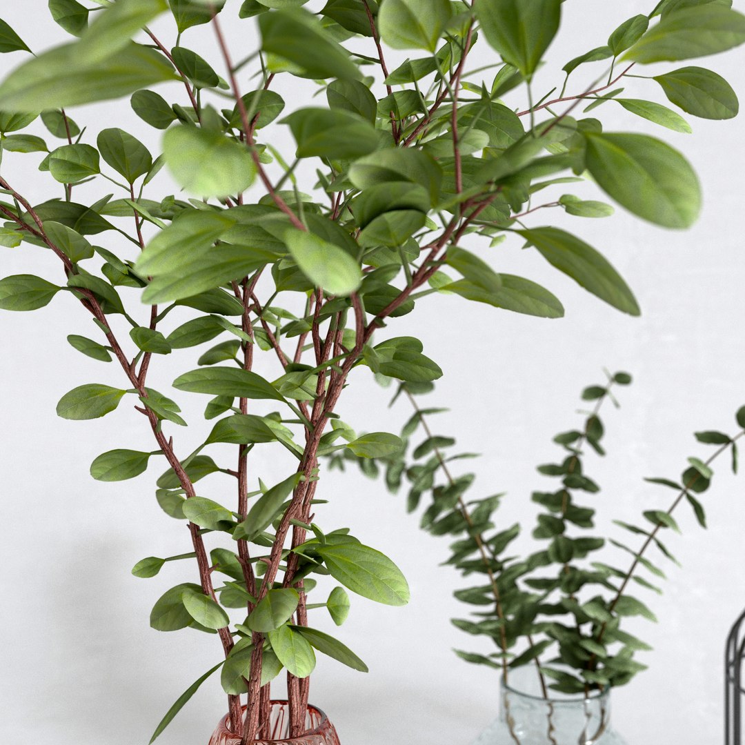 eucalyptus vase decor 3D model https://p.turbosquid.com/ts-thumb/Yf/lpHkMb/DnkQXluX/preview_3/jpg/1587157518/1920x1080/fit_q87/60954ac100d85a71da5434e2950f1eed98a2208c/preview_3.jpg