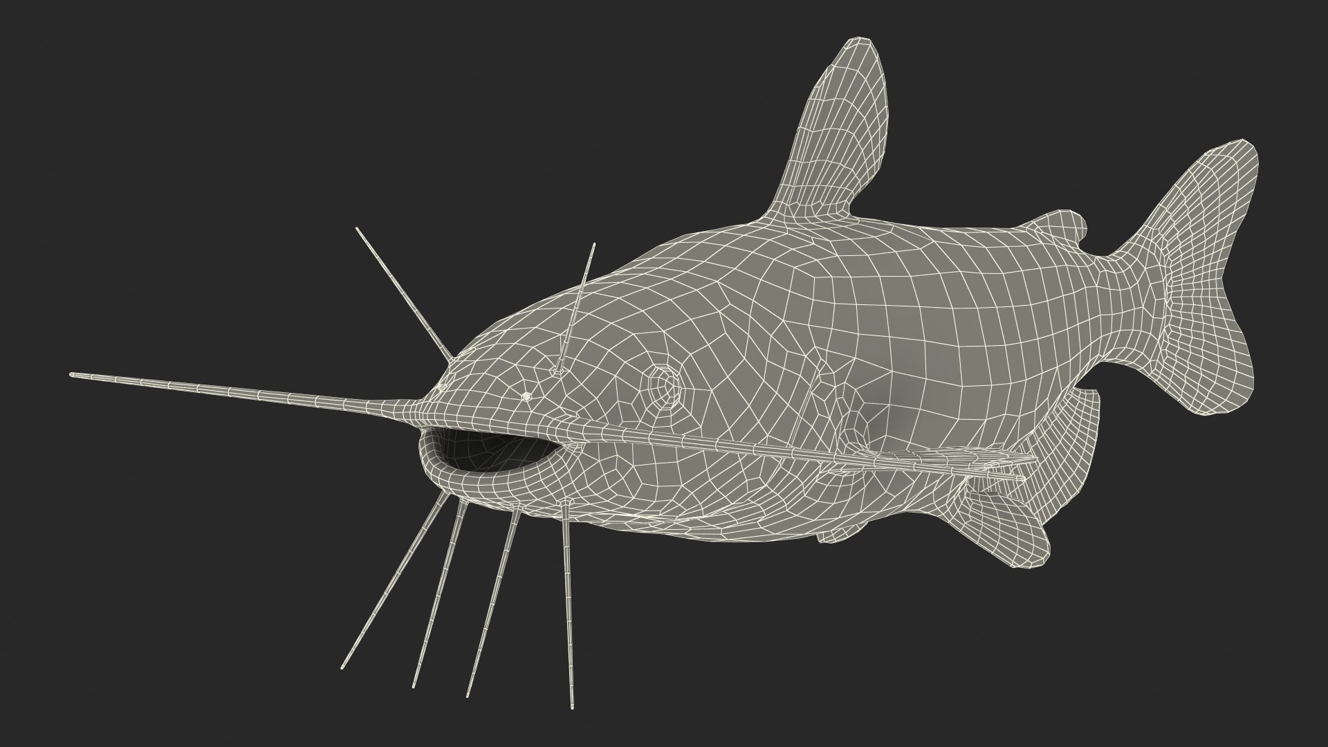 3D Channel Catfish Ictalurus Punctatus Rigged for Cinema 4D model https://p.turbosquid.com/ts-thumb/Yf/ntUNHQ/5h/channelcatfishictaluruspunctatusriggedc4dmodel042/jpg/1639644061/1920x1080/fit_q87/9f6c6714bad0d92c2e3efff15ca0f1c2a2442280/channelcatfishictaluruspunctatusriggedc4dmodel042.jpg