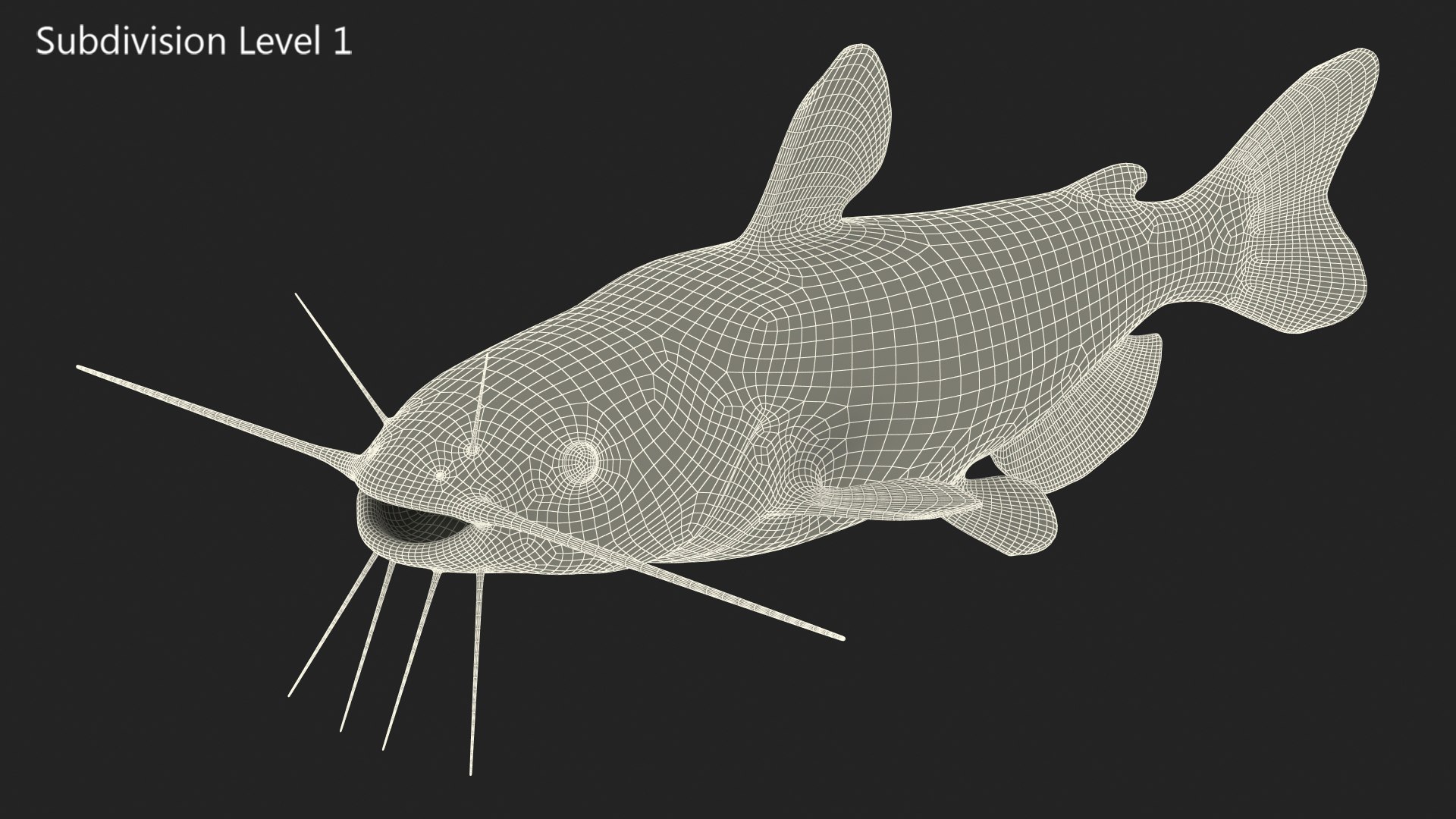 3D Channel Catfish Ictalurus Punctatus Rigged for Cinema 4D model https://p.turbosquid.com/ts-thumb/Yf/ntUNHQ/Cn/channelcatfishictaluruspunctatusriggedc4dmodel036/jpg/1639644043/1920x1080/fit_q87/5a8eeb5111487e43595611af7c8e7dcd3d2e4226/channelcatfishictaluruspunctatusriggedc4dmodel036.jpg