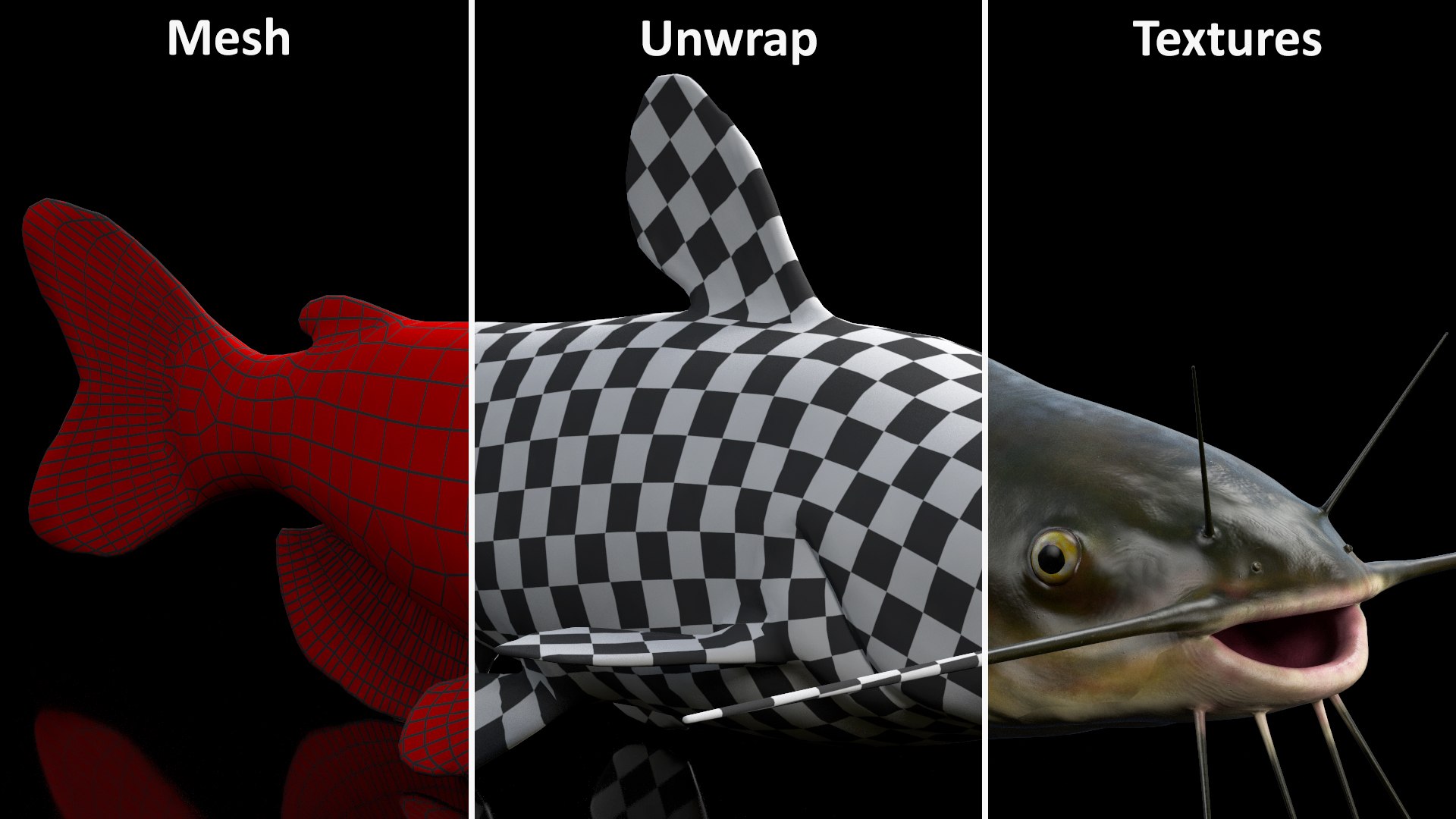3D Channel Catfish Ictalurus Punctatus Rigged for Cinema 4D model https://p.turbosquid.com/ts-thumb/Yf/ntUNHQ/LY/channelcatfishictaluruspunctatusriggedc4dmodel035/jpg/1639644039/1920x1080/fit_q87/70a99ea576c9f9cd76e1d9392191331e4507ae05/channelcatfishictaluruspunctatusriggedc4dmodel035.jpg