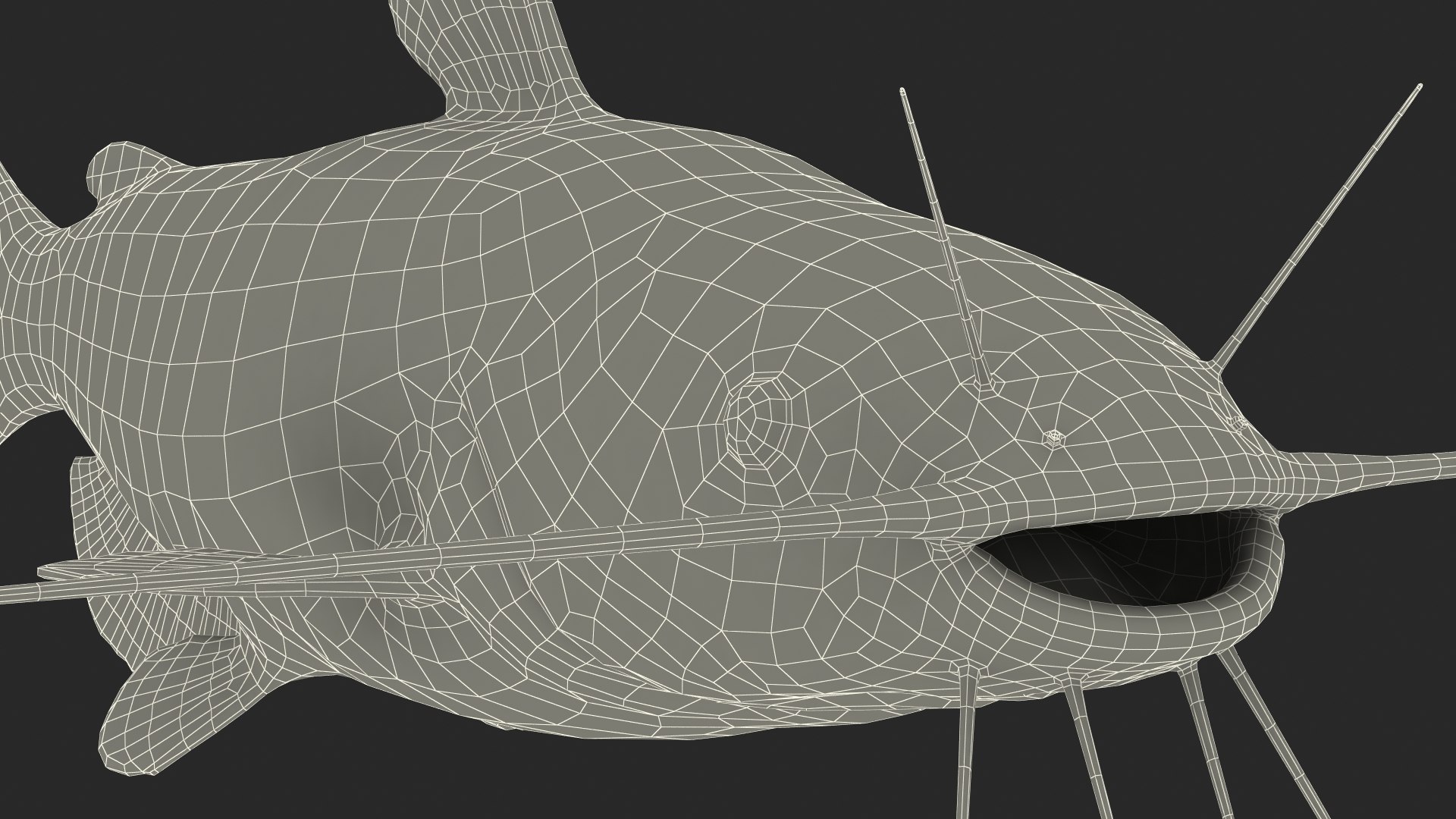 3D Channel Catfish Ictalurus Punctatus Rigged for Cinema 4D model https://p.turbosquid.com/ts-thumb/Yf/ntUNHQ/je/channelcatfishictaluruspunctatusriggedc4dmodel045/jpg/1639644070/1920x1080/fit_q87/79dab6f03d8bc486f8242082a626f81850d503e9/channelcatfishictaluruspunctatusriggedc4dmodel045.jpg