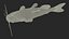 Channel Catfish Ictalurus Punctatus Rigged for Cinema 4D