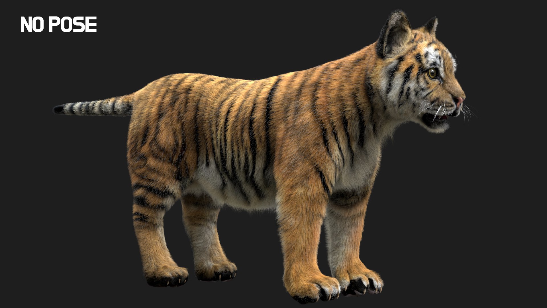 fur 3D https://p.turbosquid.com/ts-thumb/Yf/ohzXdF/0wnXn3WI/03/jpg/1578996987/1920x1080/fit_q87/caf6e61a1e1cf1fb1565298d7238f4097d23e087/03.jpg