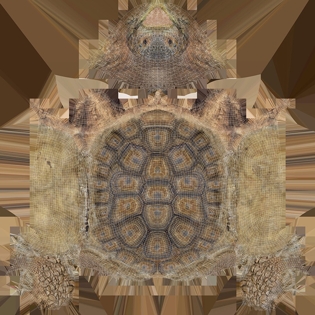 fur 3D https://p.turbosquid.com/ts-thumb/Yf/ohzXdF/5qy86r6G/25/jpg/1578997076/1920x1080/fit_q87/524b488a722884f028538a2f8f7f1315dfbcb78a/25.jpg
